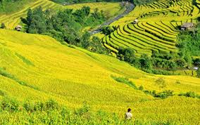Truyện ngắn hay
